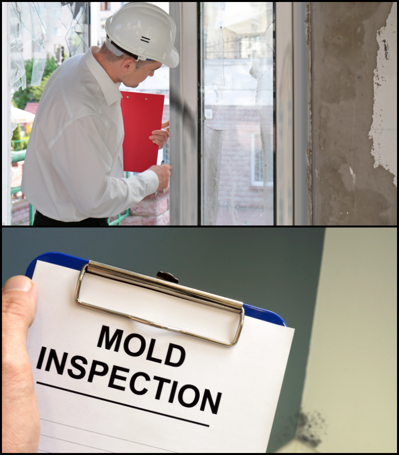 Mold Testing Long Island